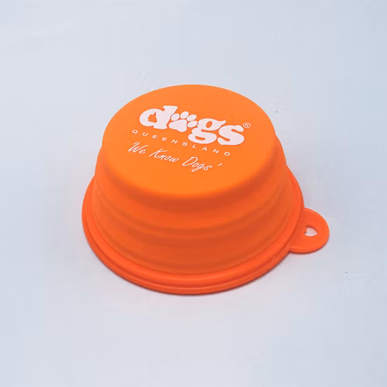 Bol d'alimentation portable durable pour chat et chien pour voyager