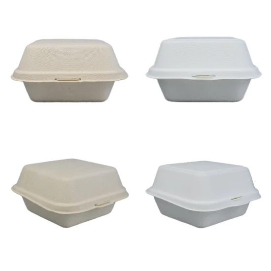 Vaisselle écologique jetable biodégradable compostable de bagasse de canne à sucre